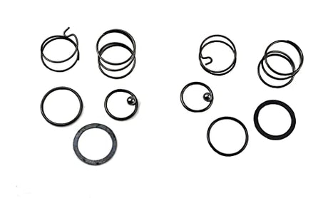 Palart N078434 Spring kit for 20 V impact wrench DCF885 DCF886 spring and ball replacement, impact driver spring kit and ball (2 pcs) palart