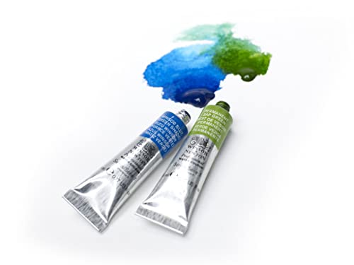 Windsor & Newton Artists Water 5ML Tube 12C Set (Japan Import) Winsor & Newton