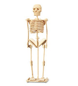 Puzzled 3D Puzzle Human Skeleton Wood Craft Construction Model Kit, Fun & Educational DIY Wooden Toy Assemble Model Unfinished Crafting Hobby Puzzle Puzzled