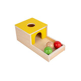 Montessori Box Play Kit, Early Child Development Learning Material for 1-3 Years Old Babies (Play Kit, 4 for 1) Tiger Montessori