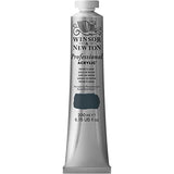 Winsor & Newton Professional Acrylic Paint, 200ml (6.75-oz) Tube, Payne's Gray Winsor & Newton