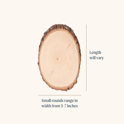 Walnut Hollow Basswood Round, Small 5-7" wide with Live Edge Wood (Pack of 1) - For Wood Burning, Home Décor, and Rustic Weddings Walnut Hollow