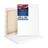 U.S. Art Supply 20 x 30 inch Stretched Canvas 12-Ounce Triple Primed, 3-Pack - Professional Artist Quality White Blank 3/4" Profile, 100% Cotton, U.S. Art Supply