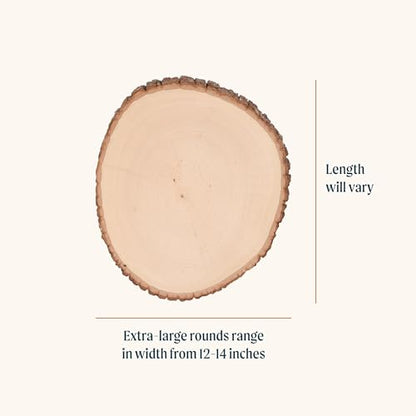 Walnut Hollow Basswood Round Extra Large with Live Edge Wood (Pack of 12) - for Wood Burning, Home Décor, and Rustic Weddings - WoodArtSupply