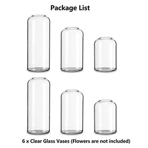 Glass Bud Vases for Flowers - Hewory Blown Modern Small Glass Vases for Centerpieces Set of 6, Mini Clear Bulk Flower Vases for Wedding Party Events Hewory