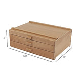 HG Art Concepts Artists Storage Chests - Premium Studio Organizer for Paint Tubes, Brushes, Pecils, Markers, & More! - 3 Drawer HG Art Concepts