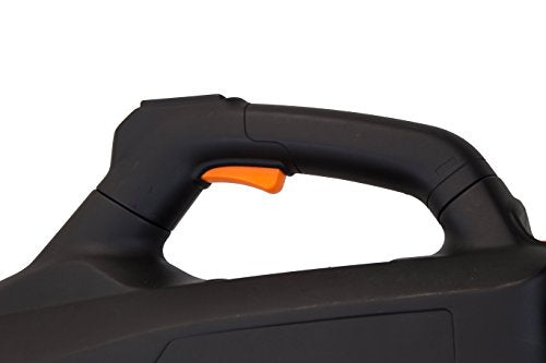 WEN Cordless Electric Leaf Blower, Brushless with 40V Max 2Ah Battery and Charger (40410), Black WEN