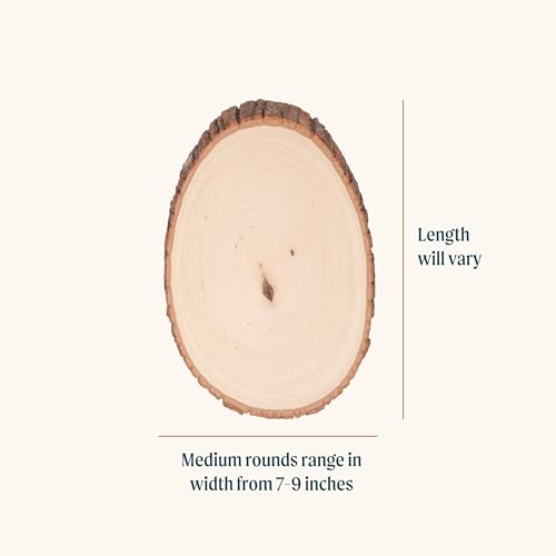 Walnut Hollow Basswood Round, Medium 7-9" Wide with Live Edge Wood (Pack of 6) - for Wood Burning, Home Décor, and Rustic Weddings - WoodArtSupply