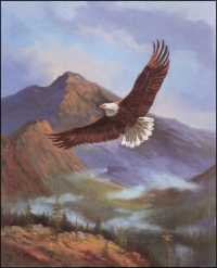 Eagle IV Paper Tole Paper Tole 3D Decoupage Craft Kit size 8x10 inches DSC