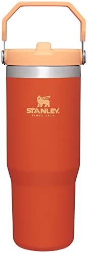 Stanley IceFlow Stainless Steel Tumbler with Straw - Vacuum Insulated Water Bottle for Home, Office or Car Reusable Cup with Straw Leak Resistant STANLEY