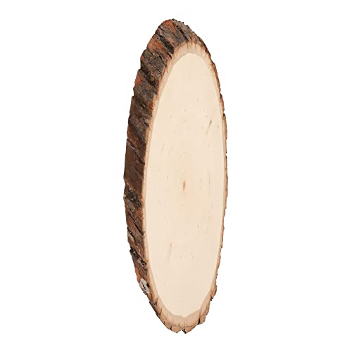 Walnut Hollow Basswood Round, Small 5-7" wide with Live Edge Wood (Pack of 1) - For Wood Burning, Home Décor, and Rustic Weddings Walnut Hollow