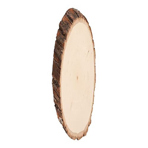 Walnut Hollow Basswood Round, Small 5-7" wide with Live Edge Wood (Pack of 1) - For Wood Burning, Home Décor, and Rustic Weddings - WoodArtSupply