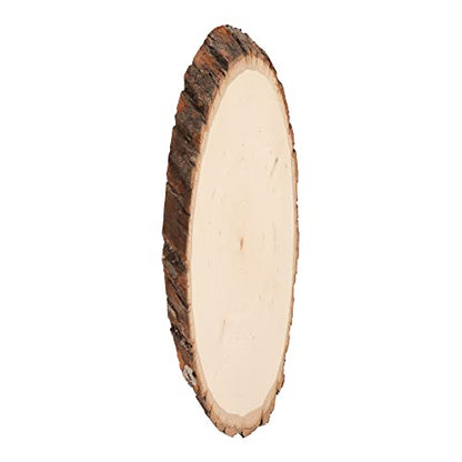 Walnut Hollow Basswood Round, Small 5-7" wide with Live Edge Wood (Pack of 1) - For Wood Burning, Home Décor, and Rustic Weddings - WoodArtSupply