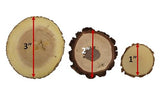 Wood Slice Variety Pack, 1" - 3", Qty of 50 - Live Edge Walnut, Red Cedar, Maple, Oak, Coasters, Craft Wood, Wood Burning, Epoxy Resin Projects, SHUIKU