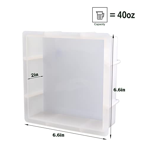 Square Silicone Molds for Resin, Large Resin Molds, Deep Resin Molds for Flowers Preservation, Epoxy Molds for Resin Casting DIY Insect Specimens Actvty