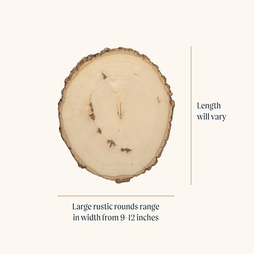 Walnut Hollow Rustic Basswood Round, Large 9-12" Wide with Live Edge Wood (Pack of 12) - for Wood Burning, Home Décor, and Rustic Weddings - WoodArtSupply