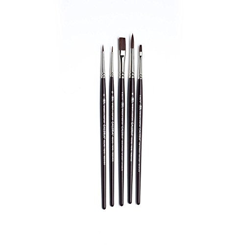 Winsor & Newton Galeria Short Handle Brush (5 Pack) (Round 0, 2, & 6, One Stroke 1/8" & 1/4") Winsor & Newton