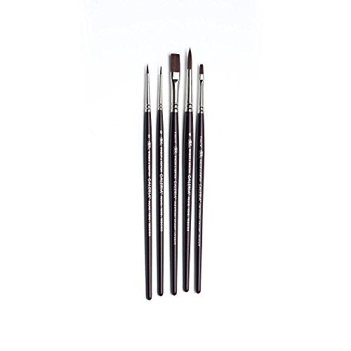 Winsor & Newton Galeria Short Handle Brush (5 Pack) (Round 0, 2, & 6, One Stroke 1/8" & 1/4")