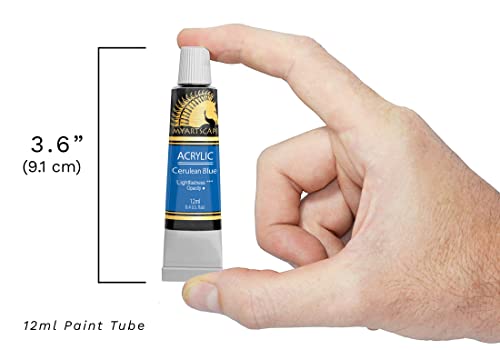 MyArtscape Acrylic Paint Set - 12 x 12ml Tubes - Lightfast - Heavy Body MyArtscape