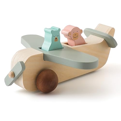 ibwaae Wooden Airplane Toys, Air Transport Vehicles Play Set, Wooden Pull Games, STEM Learning Gift Montessori Toy for Baby Toddler Boys Girls