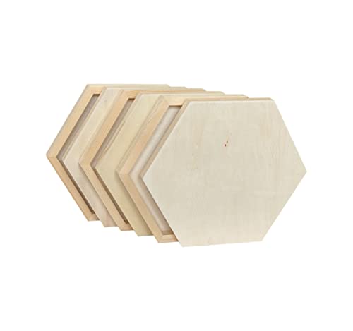 Unfinished Wooden Panels for Painting, Blank Wood Hexagon Framed Boards for Crafting Art Pouring (10x11.6 in, 6 Pack)