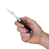 Kershaw Brandywine Folding Pocket Knife, Three Blades with Manual Open, Slipjoint Lock (4382), Steel Kershaw