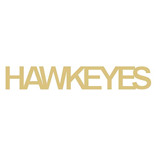 Word Hawkeyes Cutout Unfinished Wood Sports Decor Home Decor Door Hanger MDF Shape Canvas Style 1 (24") Diverse Woodworking