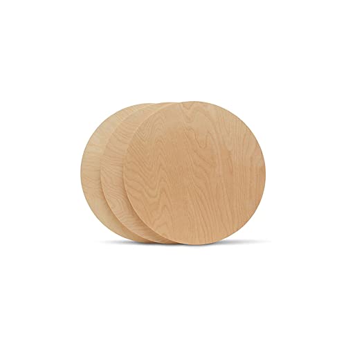 Wood Circles 8 inch, 1/2 inch Thick Cutouts, Pack of 3 Birch Unfinished Wood Circle Plaques for Crafts, by Woodpeckers