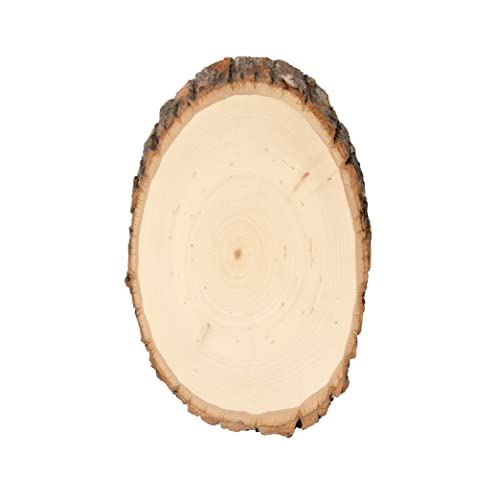 Walnut Hollow Basswood Round, Small 5-7" wide with Live Edge Wood (Pack of 1) - For Wood Burning, Home Décor, and Rustic Weddings - WoodArtSupply