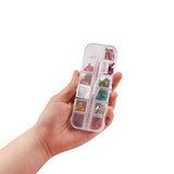 AGCFABS 1 Box Real Dried Flower Dry Plants Ammi Majus for UV Epoxy Resin Pendant Necklace Jewelry Making Craft Nail Art Decoration (5) AGCFABS