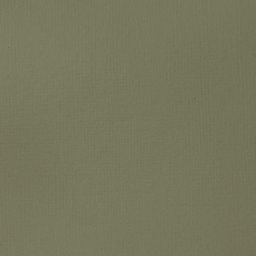 Liquitex BASICS Acrylic Paint, 118ml (4-oz) Tube, Green Gray Liquitex