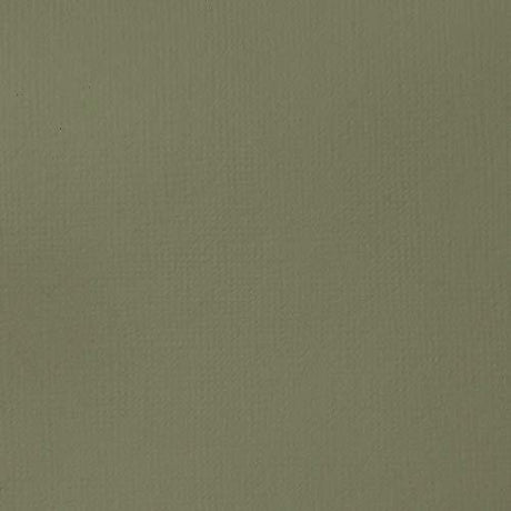 Liquitex BASICS Acrylic Paint, 118ml (4-oz) Tube, Green Gray Liquitex