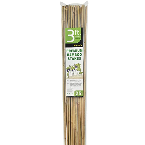Mininfa Natural Bamboo Stakes 3 Feet, Eco-Friendly Garden Stakes, Plant Stakes Supports Climbing for Tomatoes, Trees, Beans, 25 Pack Mininfa