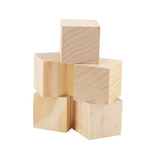 LEXININ 10 Pcs Unfinished Wood Blocks, 5 x 3 x 1 inch Natural Wooden Cubes, Whittling Blocks for Crafts, DIY Projects, Carving