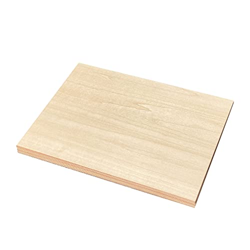 9 Pack 1/16 X 9 X 12 Inch Thin Basswood Plywood Sheets for Crafts