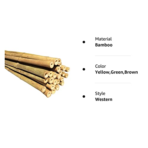Dlh Western Natural Bamboo Poles, Eco-Friendly Plant Support Garden Stakes 6ft Long, Diameter of 5/8" (25-Count) Dlh Western