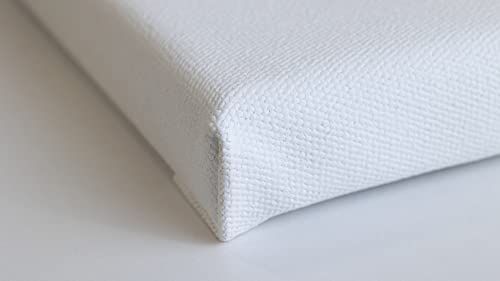 Liquitex Recycled Canvas, Traditional, 8" x 10", White Liquitex