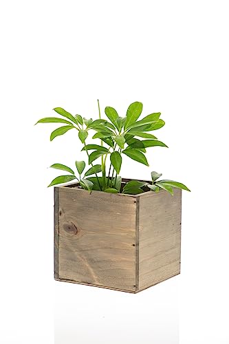 Wooden Planter Box, Rustic Barn Wood with Plastic Liner l Garden Decor l Restaurant and Wedding Decorations l Wedding Bouquets, Table Centerpiece - WoodArtSupply