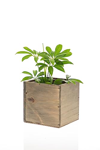 Wooden Planter Box, Rustic Barn Wood with Plastic Liner l Garden Decor l Restaurant and Wedding Decorations l Wedding Bouquets, Table Centerpiece Collection by Tiffany