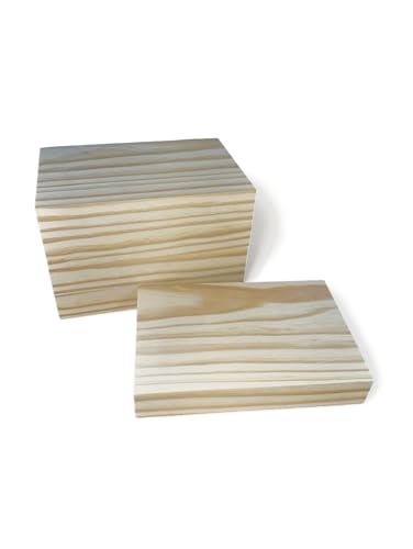 5 Pack Unfinished Wood Blocks for Crafts, 4 X 6 X 1 Inch Pine Wood Board Wooden Rectangular Blocks Craft Panels for Art and Crafts Engraving Painting RioEbanista