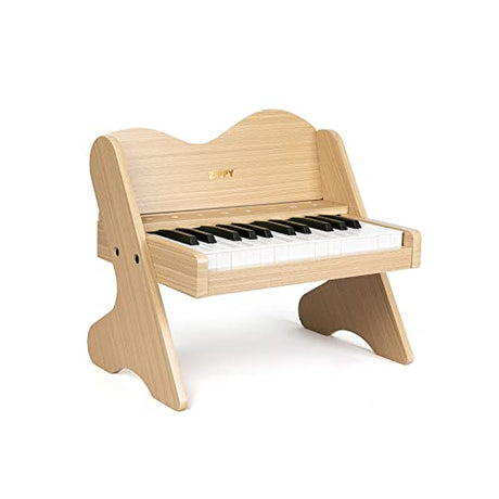 ZIPPY Kids Piano Keyboard, 25 Keys Digital Piano for Kids, Touch Sensitive Control Panel, Built-in Songs, Volume Adjustable, Mini Music Educational ZIPPY