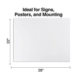 Staples 247403 Poster Boards 10-Pack White 22-Inch X 28-Inch (Mmk04500s) STAPLES