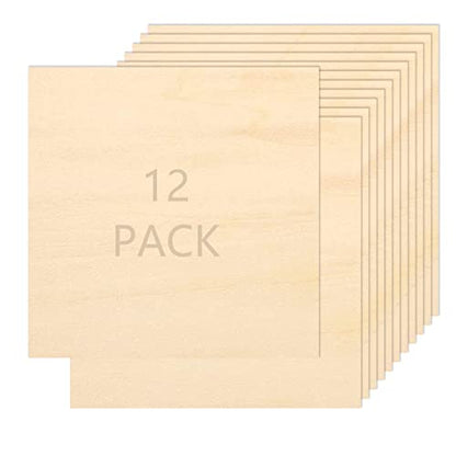 20Pack Basswood Sheets 1/16 Plywood Sheets 11.8 x 11.8 Inch Craft Wood Bass  Wood for Cricut Maker, Architecture Model Materials, Pyrography, Wood