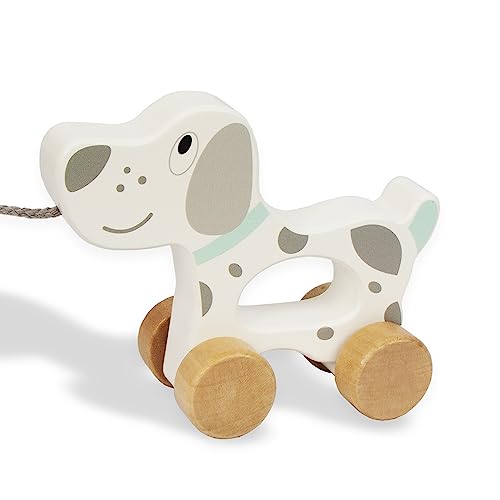 WoodenEdu Baby Toys Car,Wooden Pull Along Toddler Toy, Developmental Toy for 1 Year Old Girl Boy Birthday Gift (Dog) WoodenEdu