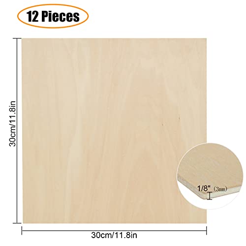 12 Pack 1/8 inch Basswood Sheets 12x12 Square 3mm Plywood Sheets Unfinished Wood Sheets Bass Wood Plywood for Laser Cutting Crafts Mini House ZOEYES