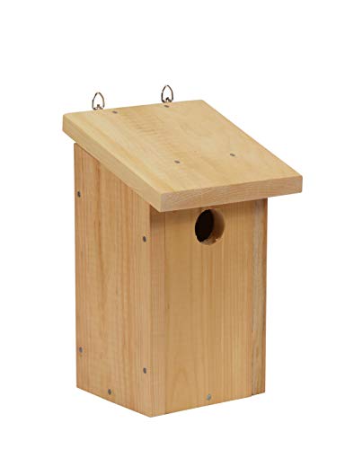 Hearthside Classics - DIY Build-Your-Own Bluebird House Kit - All Parts Included Natural Diamond