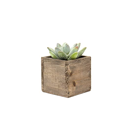 CYS EXCEL Cube Planter Box with Removable Plastic Liner (3"x3"x3")(6 PCS) | Multiple Size Choices Wood Square Planter | Indoor Decorative Window Box