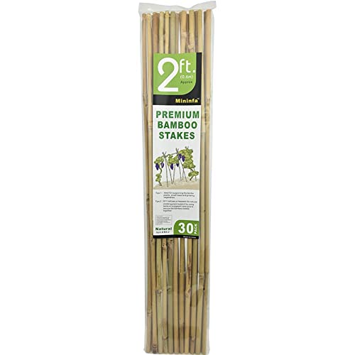 Mininfa Natural Bamboo Stakes 2 Feet, Eco-Friendly Garden Stakes, Plant Stakes Supports Climbing for Tomatoes, Trees, Beans, 30 Pack Mininfa