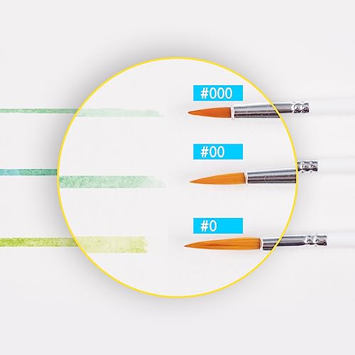 MEEDEN Detail Paint Brush Set - 12 Miniature Art Brushes for Fine Detailing & Art Painting - Acrylic, Watercolor, Oil - Miniatures, Models, Airplane MEEDEN