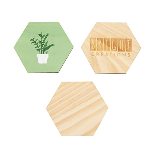 15 Pack Unfinished Wooden Hexagon Cutouts for Crafts, 1/4" Thick for Wood Burning, Engraving (4 x 4 in) Bright Creations